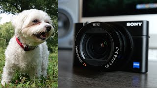Sony RX100 IV Review! Best Pocket Camera