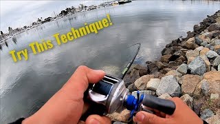 San Diego Fishing From Shore - "Feels good to be back"