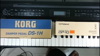 Korg DS-1H & Roland DP-10 Damper Pedals Unboxing & Review (Tagalog)