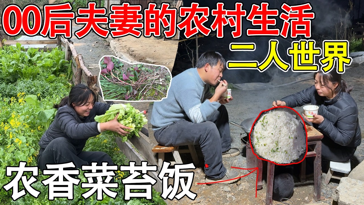 00后新婚夫妇的农村生活，享受山里的二人世界  简简单单的菜苔饭也是幸福！！！