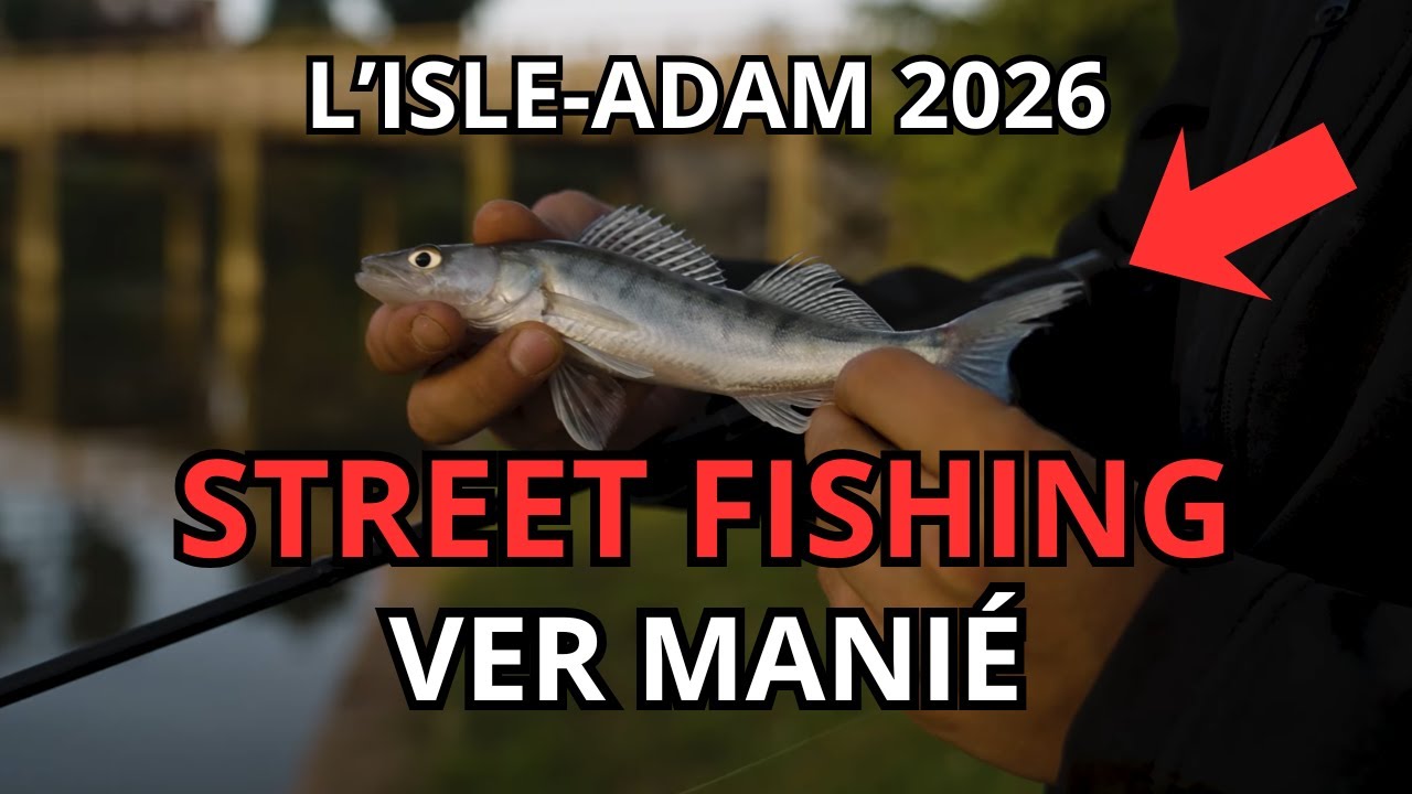 PECHE AU VERS MANIE - STREET FISHING - L'ISLE ADAM 95
