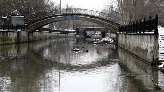 Река Салгир, Симферополь, прогулка по зимнему парку, утки ♫