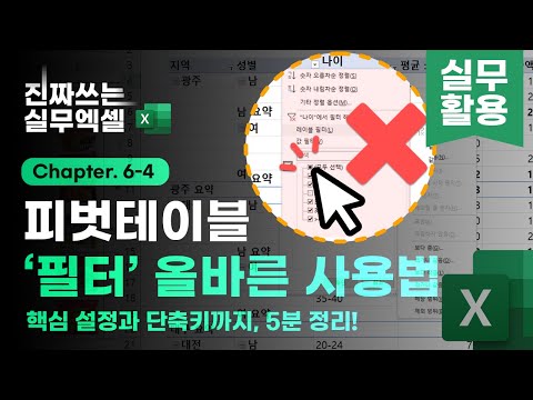 엑셀 초보들이 가장 많이 실수하는 <strong>피벗테이블</strong> 필터 오류 | 5분 핵심 요약 | 진짜쓰는 실무엑셀 6-4-3