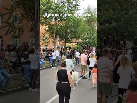 Винные дни. Ереван