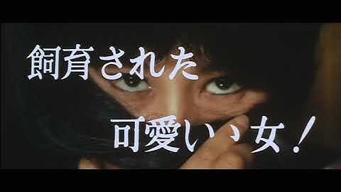 映画「痴人の愛（1967年版）」 予告