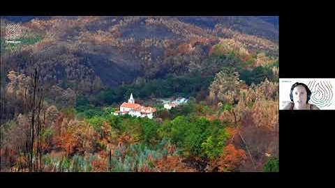 Automation in Forest Operations - Division 3.0 Webinar Series - Webinar 1