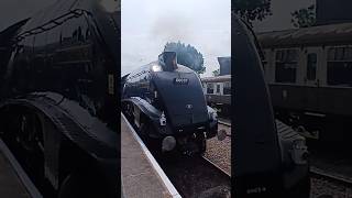60007 WHISTLES into Minehead #train #a4 #steamtrain #uk #steam #lner #somerset #trainenthusiast #yt