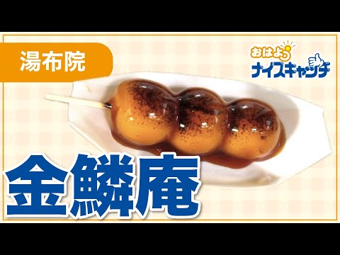 【湯布院】金鱗庵（2026年3月11日放送分）