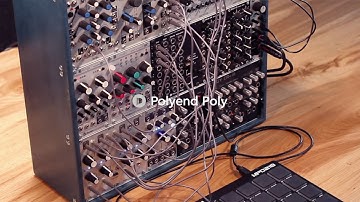 Polyend Poly Module in Use