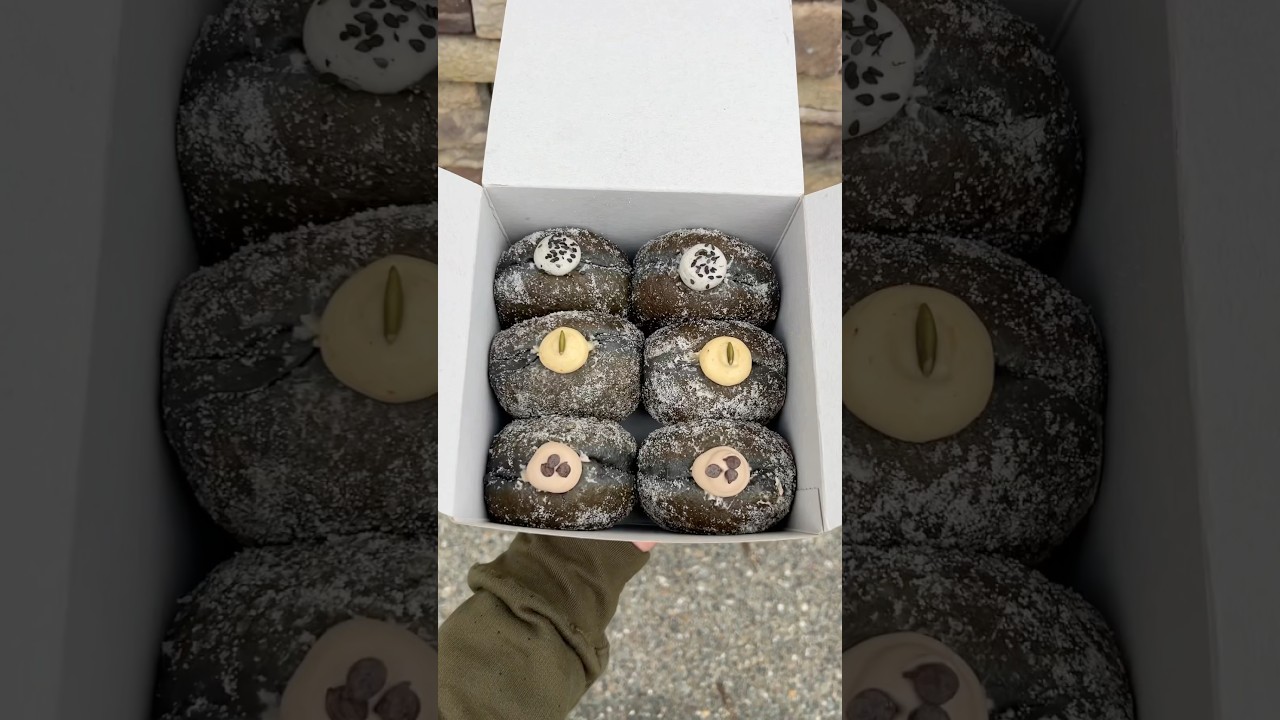 NEW Brioche Donuts in Seattle 