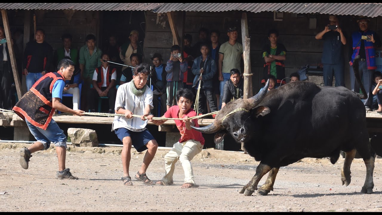 UNYING ARAN FESTIVAL 2021 OF ADI TRIBE AT PARONG VILLAGE, BOLENG ...