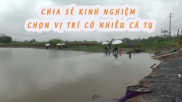 Chia Sẻ Kinh Nghiệm Chọn Vị Trí Câu Và Bài Mồi Siêu Nhạy Câu Chép + Rô Phi Cỡ Lớn Hồ Dịch Vụ