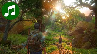 Relaxing LAST OF US I Music 🎵 1 HOUR Ambient CHILL MIX ( Soundtrack | OST | HBO )