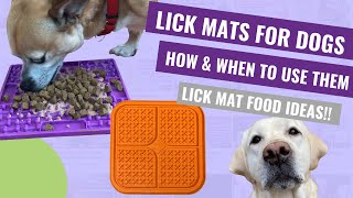 Lick Mat for Dogs (How and When to Use a Lick Mat) by Everything Dog 16,748 views 1 year ago 4 minutes, 18 seconds