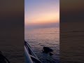 تصوير بحر تصوير غروب الشمس تصوير بحر بدون حقوق استوري بحر استوريات استوريات بدون حقوق