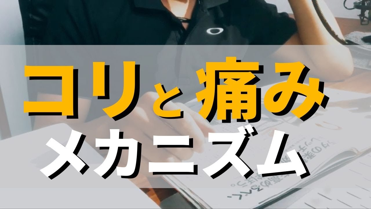 【一緒に勉強】コリと痛みのメカニズム：筋肉が凝るとは？凝りやすい動き？凝った後の対処法について