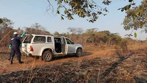 Reveal Training Video: Microplanning