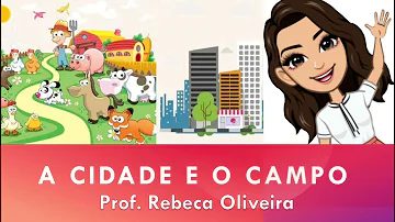 Quais os produtos que a cidade oferece para o campo?