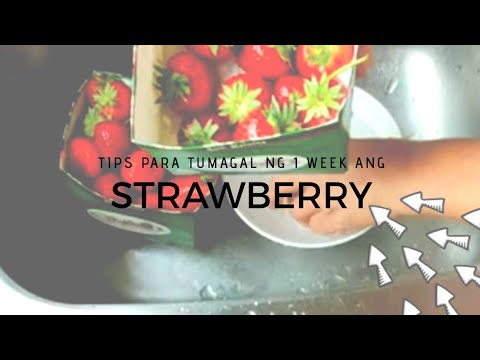 Video: Paggamot sa Strawberry Verticillium Wilt: Paano Kontrolin ang Strawberry Verticillium Wilt Fungus