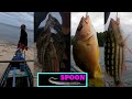 Shore Fishing Philippines , (PAGODOR)