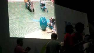 KRGF - Ball competition - pushing the ball with bugs