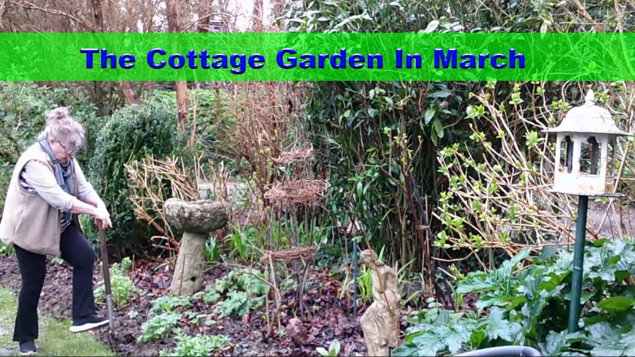 Early Spring Cottage Garden planting greenhouse chat ##cottagegarden # ...