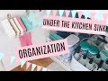 How to Organize Under the Kitchen Sink/ DIY Dollartree Organization