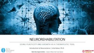Introduction to Neuroscience  - Neurorehabilitation