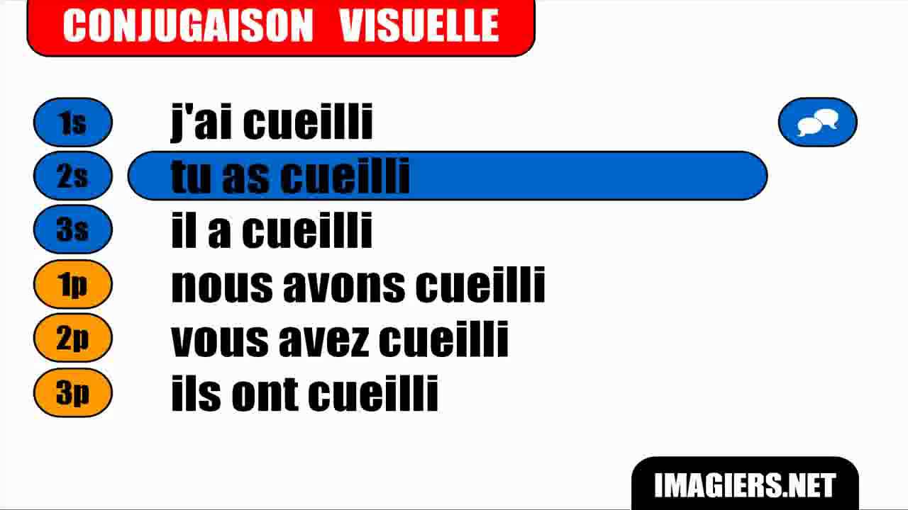 French verb conjugation = Cueillir = Passé composé - YouTube