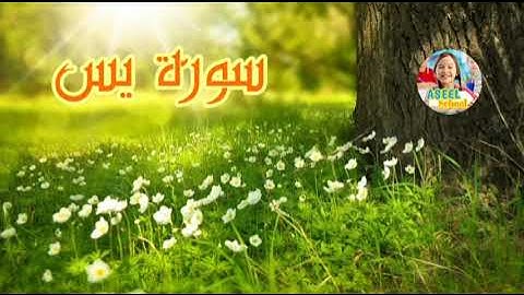 سورة يس | #القرآن_الكريم #سورة_يس #ASEELSCHOOL