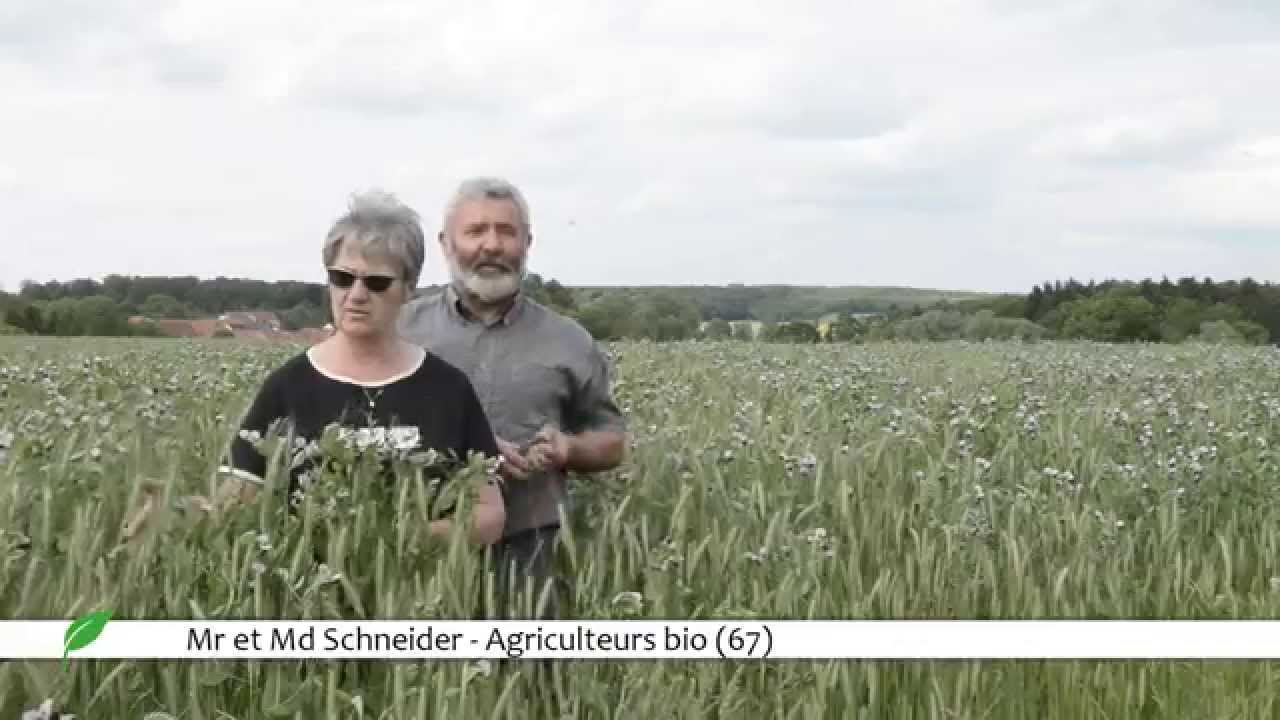 Le drainage agricole - Mr Schneider Agriculteur Bio Alsacien