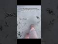 #texas  #texasweather  #snowday #ice #sunnyday #weather  #crazyweather #explore  #funny  #funnypost