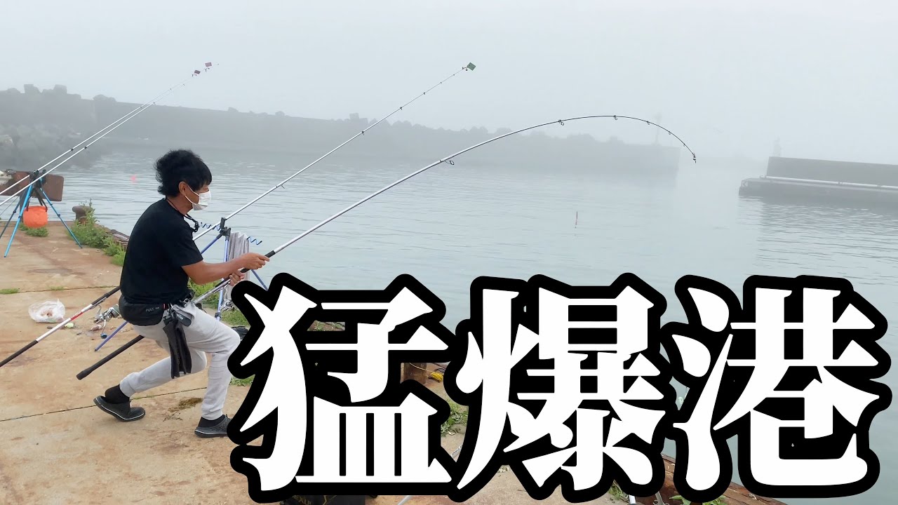【北海道】【釣り】夏枯れ知らずな漁港で重量級が楽釣！！