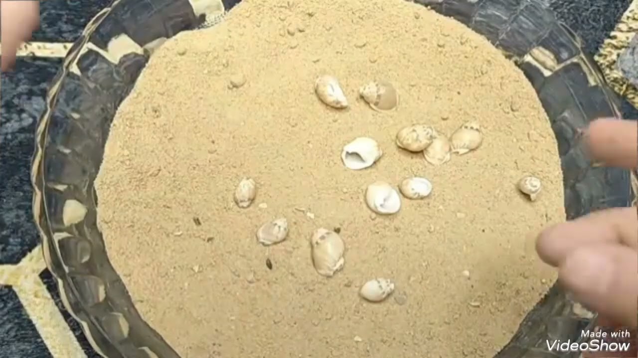 برج الجوزاء بضربة الوداع 🫣 طاقتك فيها العجب ‼️ خيررر من غير ميعاد 🤲هيوقعوا في شر أعمالهم 🤜