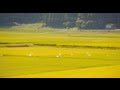 のどかな田園　実は火口