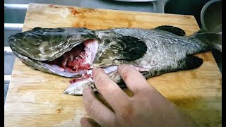 沙巴躉兩食 One Sabah Grouper Fish Two Taste