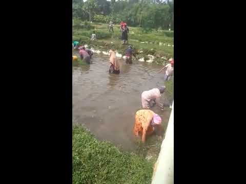 seru !!! Lomba 17 agustusan unik dan lucu ||Ibu ibu menangkap ikan,🇮🇩🇮🇩🇮🇩
