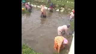 seru !!! Lomba 17 agustusan unik dan lucu ||Ibu ibu menangkap ikan,🇮🇩🇮🇩🇮🇩