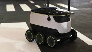 This robot is extremely excited to deliver your groceries