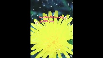 ولاتحسبن الله غافلا عما يعمل الظالمون #القارئ #خالد_الجليل #تلاوة_خاشعة ومؤثرة #explore #اكسبلور