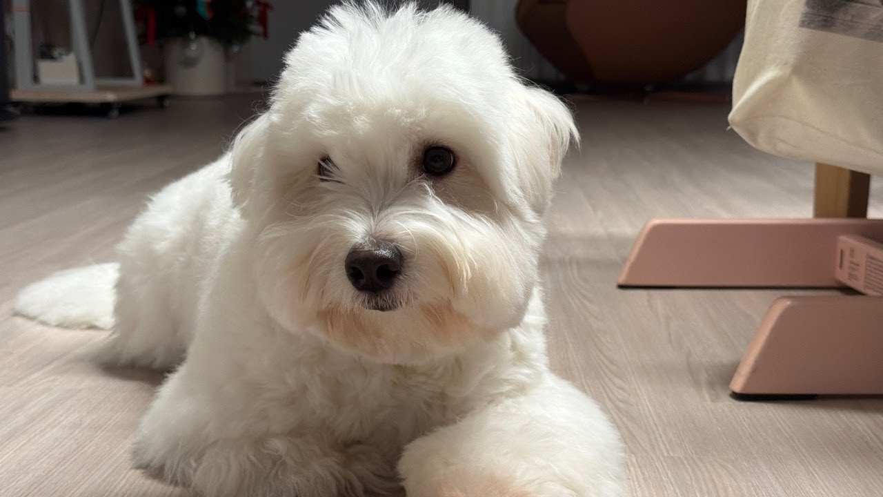 원큐 집. 툴근해볼까