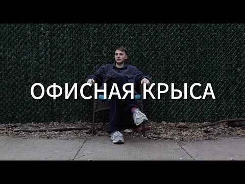 Видео: первая работа в нью-йорке