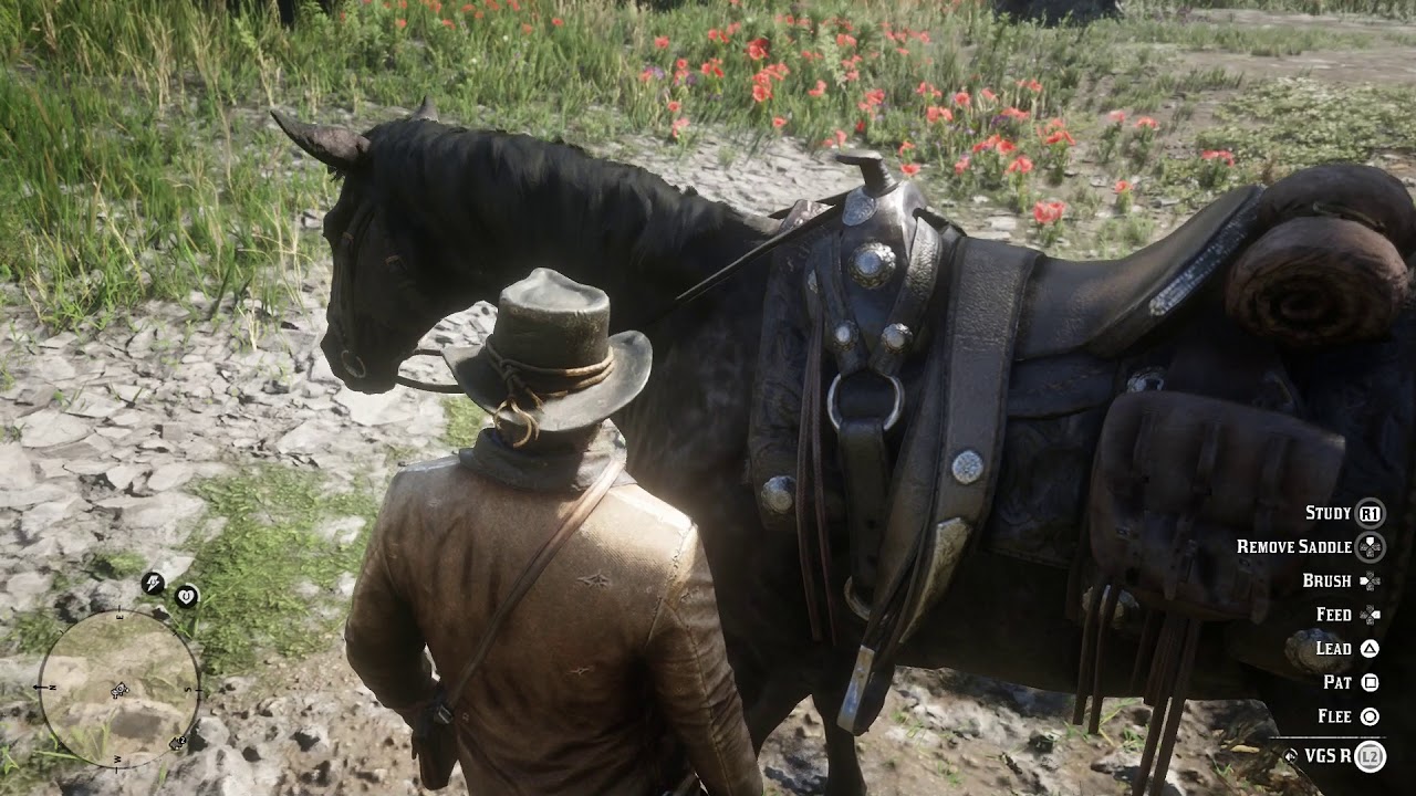 Red Dead Redemption 2 - How To Brush, Pat & Feed Arthur Morgan's Horse  Gameplay Tutorial (2018) - YouTube