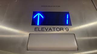 MUST WATCH: MEGA LOW ON OIL ELEVATOR