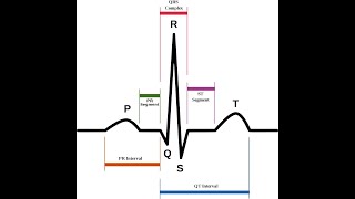 OmniSol Lab Information System - LIS