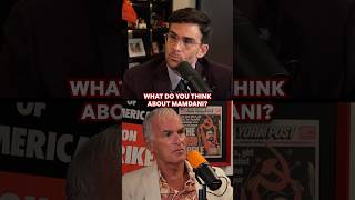 Why Norm Finkelstein likes Zohran Mamdani