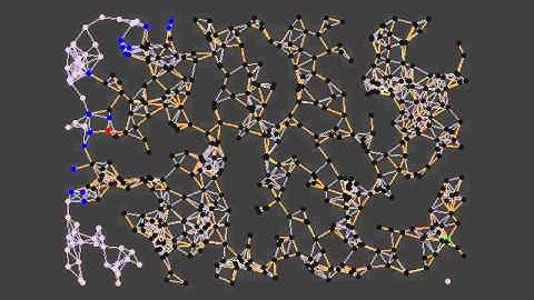 Longest Path Algorithm Test