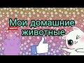 Какие мои домашние животные ?