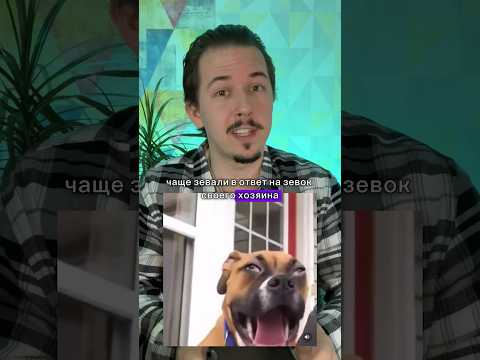 Почему ты ЗЕВАЕШЬ #шортс #facts #факты #shorts