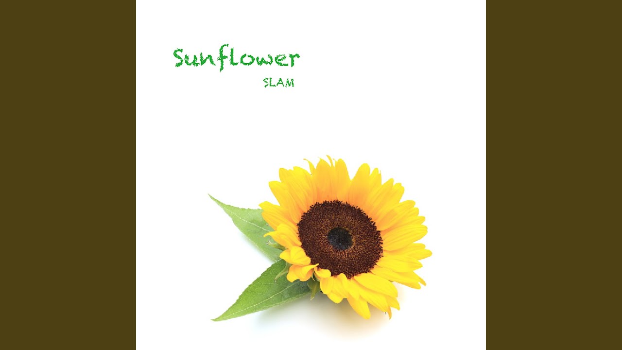 Watch Sunflower on YouTube Watch Sunflower on YouTube